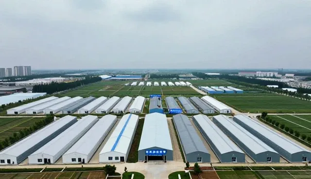 如何通过场景适配提升技术推广的落地效果